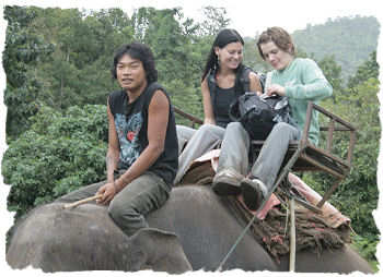 Riding elephants (Thailand)
